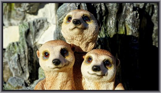 GCB-concept / Impressum